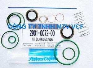 CHECK VALVE KIT 2901007200